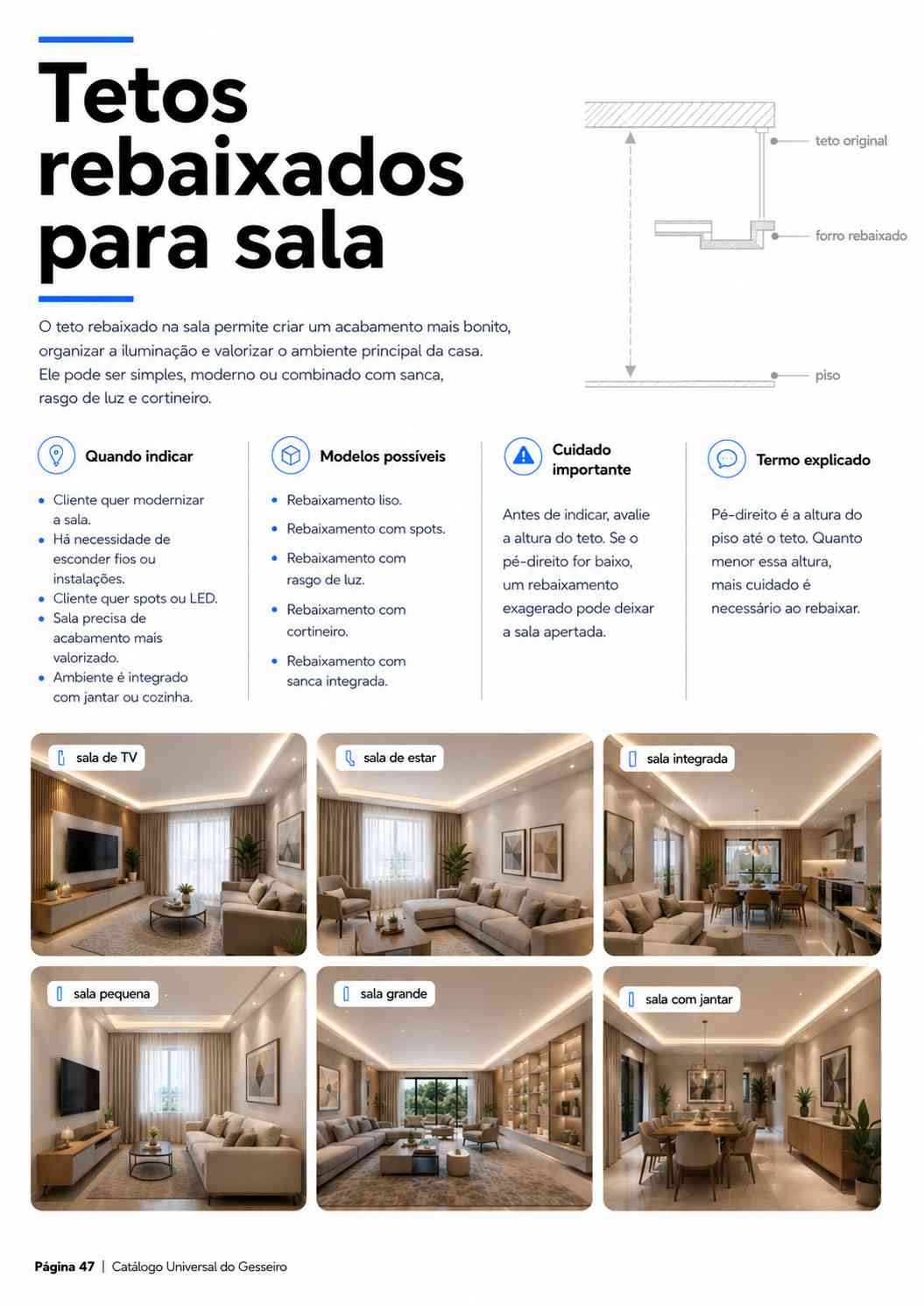 Modelo 7